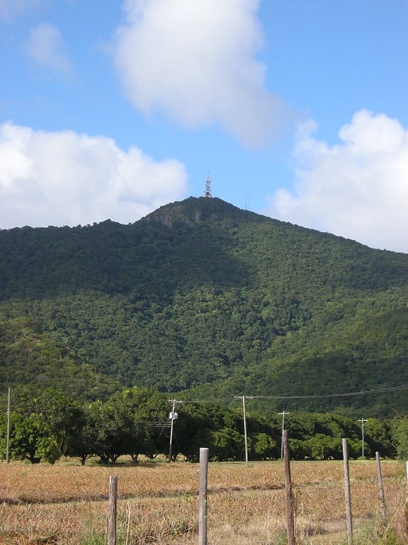 Mountain in Antigua and Barbuda