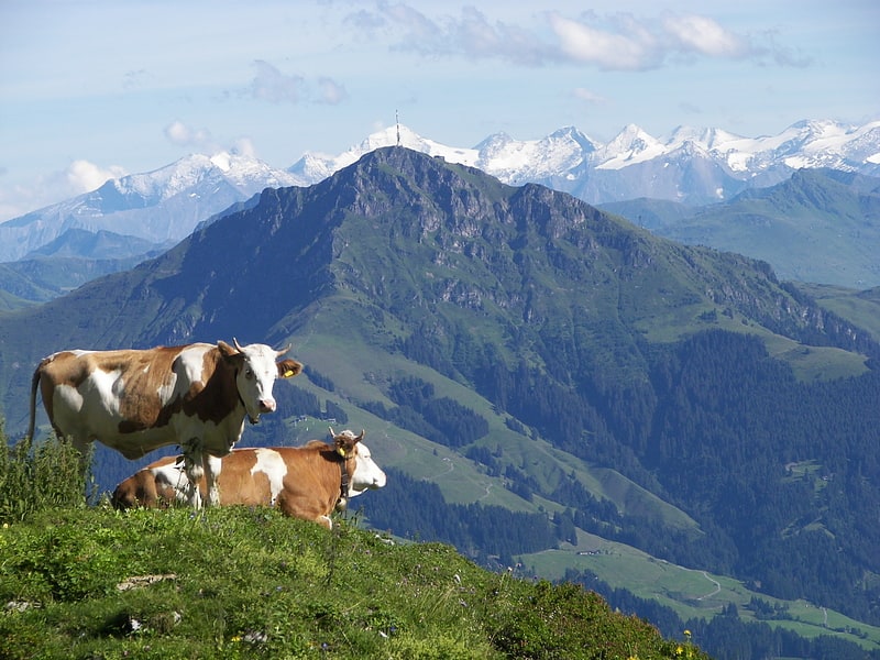 Mountain in Austria