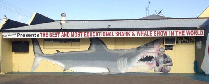 Vic Hislop Shark Show
