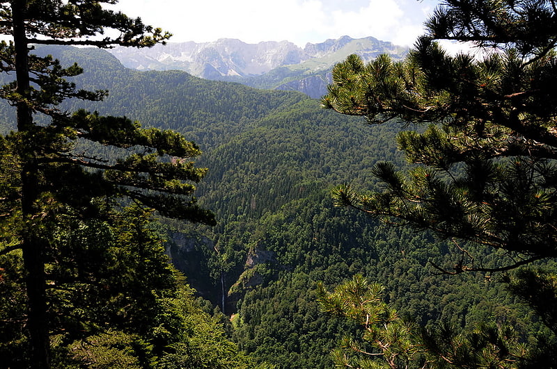 Las państwowy w Bośni i Hercegowinie
