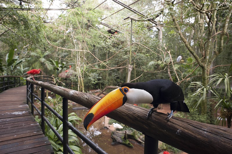 Zoo avec oiseaux, reptiles et papillons