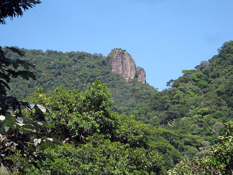 Parque nacional en Río de Janeiro, Brasil