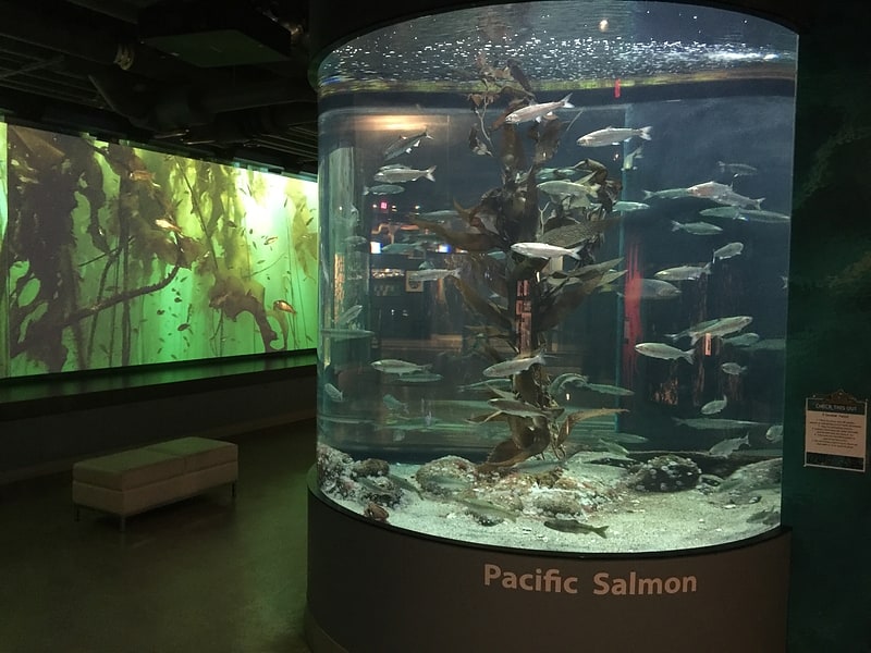 Aquarium in Sidney, British Columbia