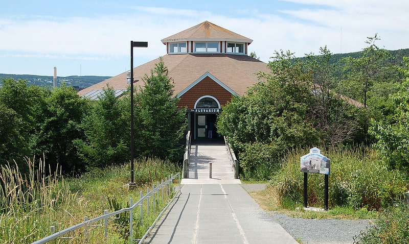 Aquarium und Bildungszentrum am Fluss