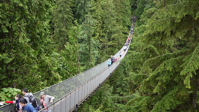 Simple suspension bridge in British Columbia, Canada