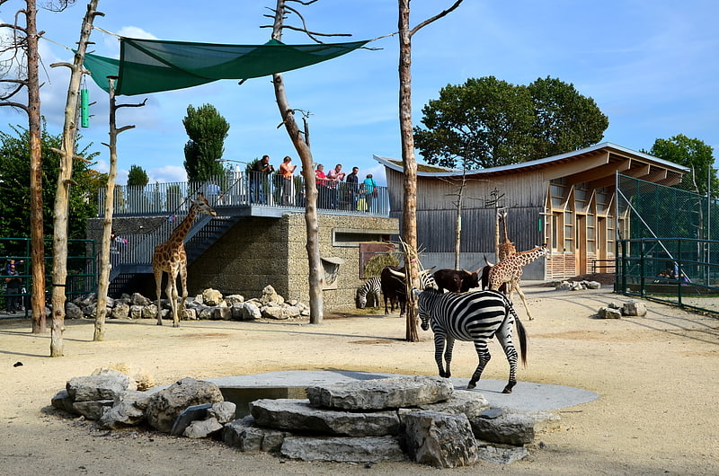 Zoologischer Garten in Rapperswil-Jona, Schweiz