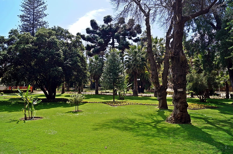 Parque en Chile