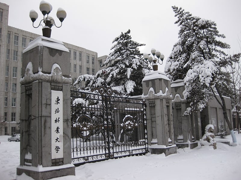 Universidad en Harbin, China