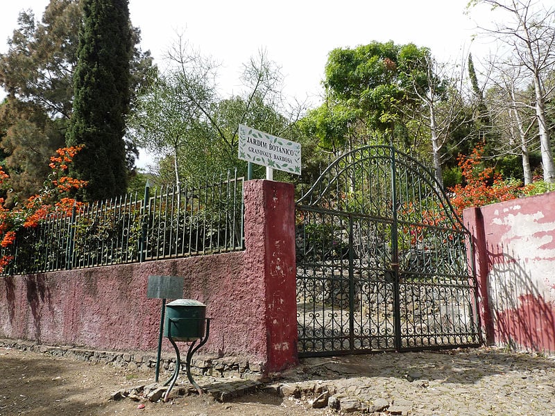 Jardín botánico de Cabo Verde