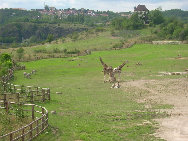 Zoo in Prag, Tschechien