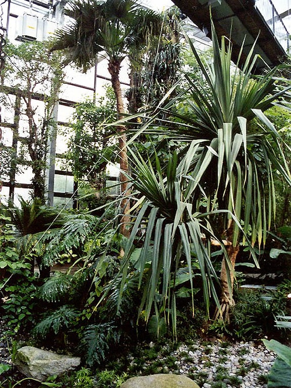 Ogród botaniczny w Poczdamie