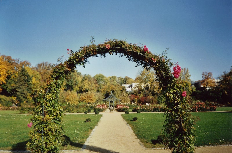 Garden in Hildesheim, Germany