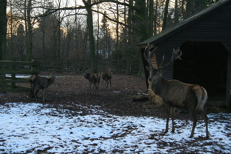Tierpark in Dormagen, Nordrhein-Westfalen