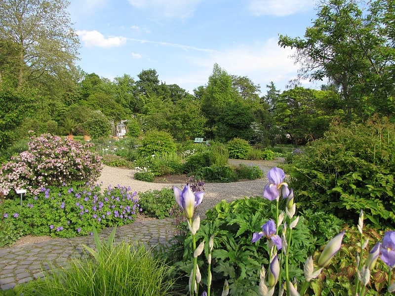 Botanical garden in Kassel, Germany