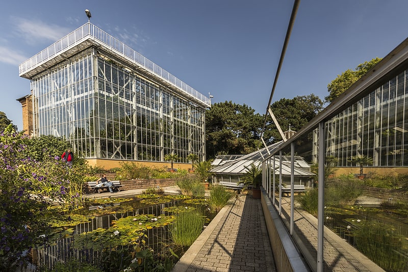 Jardín botánico en Halle (Saale), Alemania