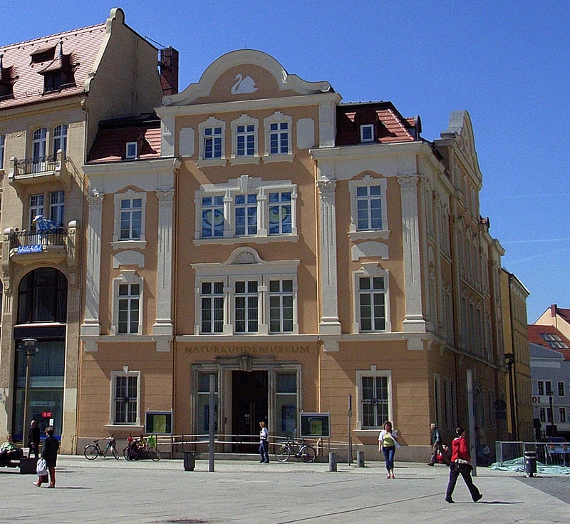 Museo de Historia Natural de Görlitz