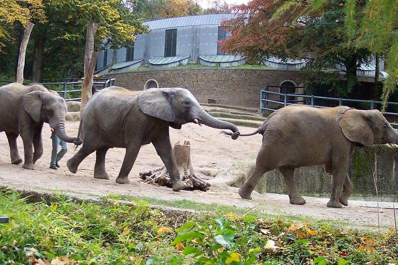 Zoo in Wuppertal, Germany