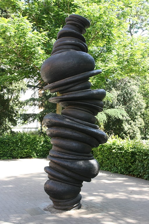 Wirbelsäule - The articulated column