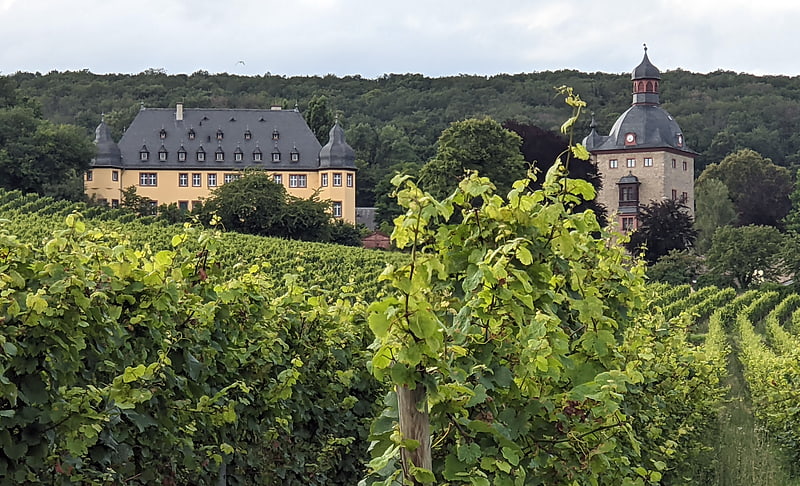 Winery in Oestrich-Winkel, Germany