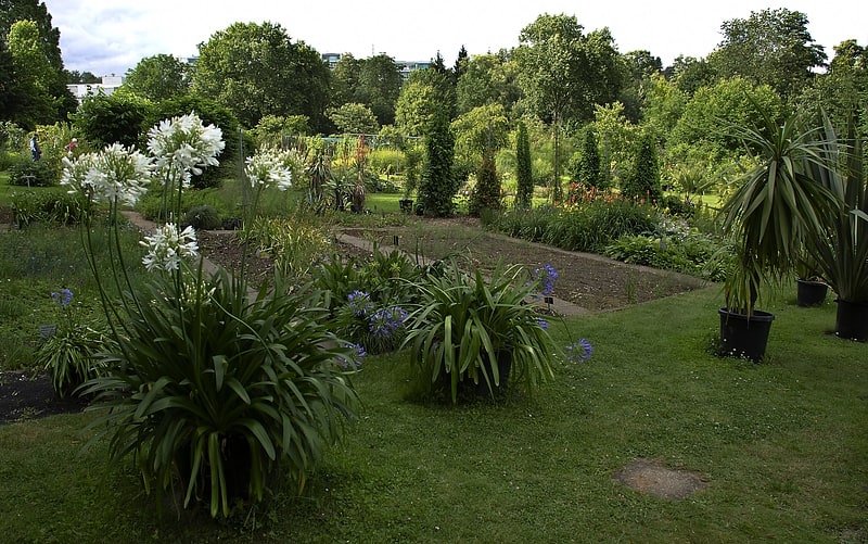 Botanical garden in Stuttgart, Germany