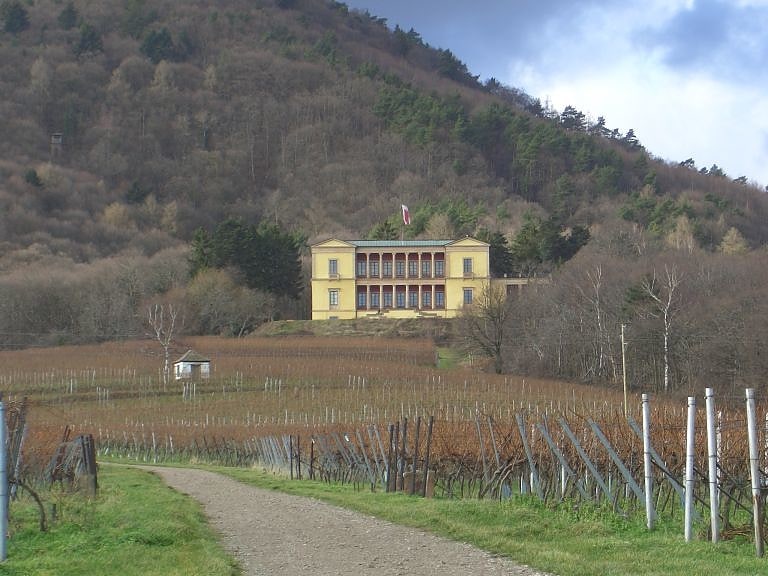 Schloss Villa Ludwigshöhe