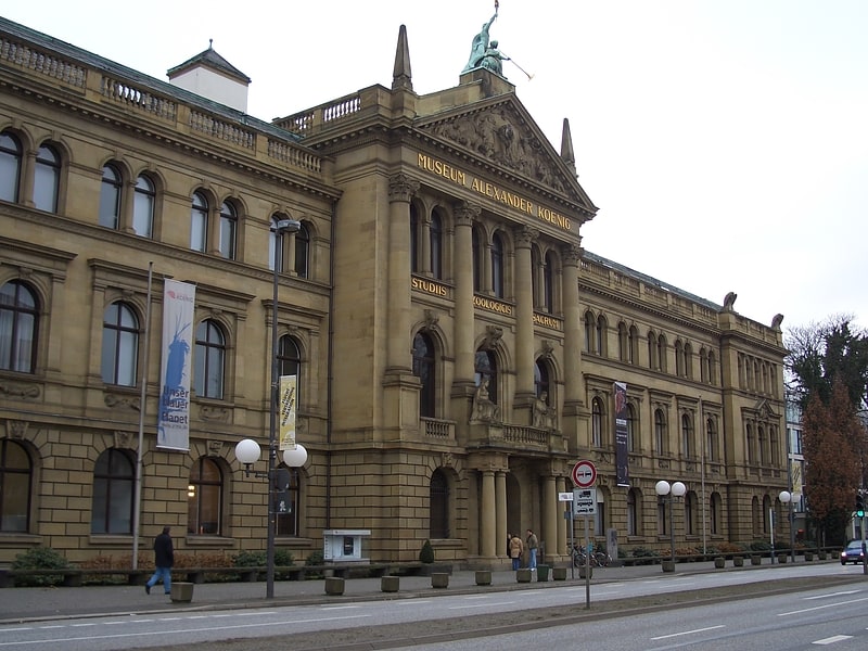 Muzeum historii naturalnej w Bonn