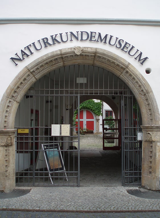 Museum in Erfurt, Thüringen