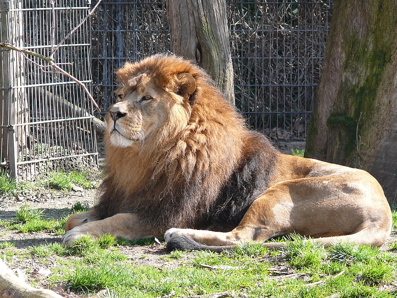 Parc zoologique à Dortmund, Allemagne