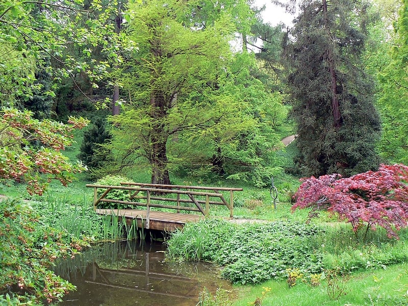 Jardín botánico en Kiel, Alemania