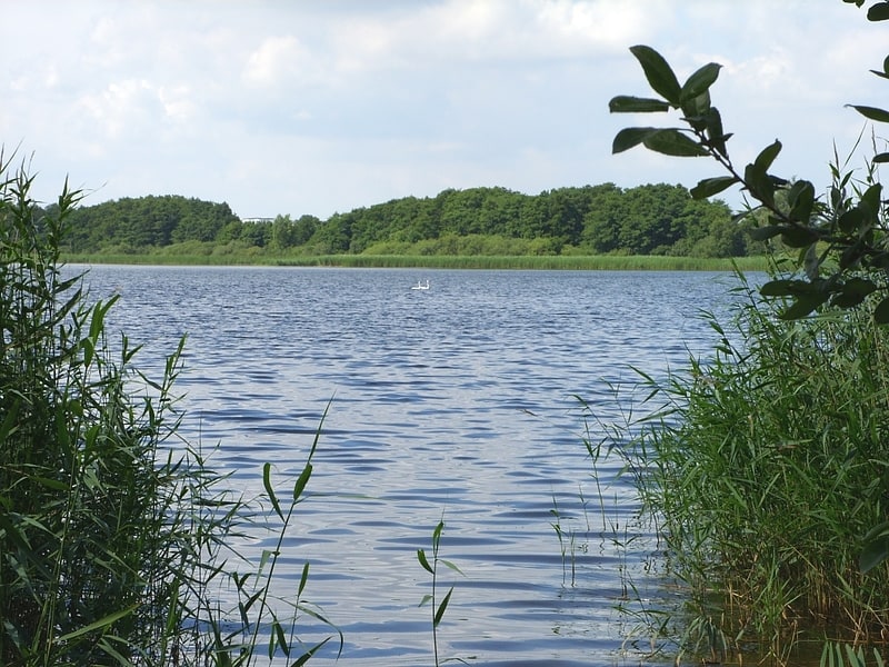 See in Mecklenburg-Vorpommern