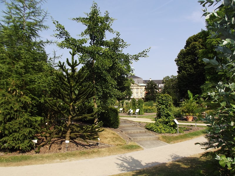 Botanical garden in Münster, Germany