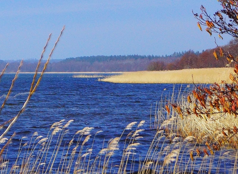 Lake in Denmark