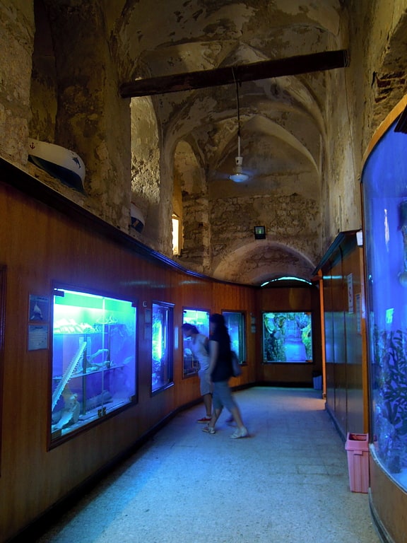 Aquarium in Alexandria, Egypt