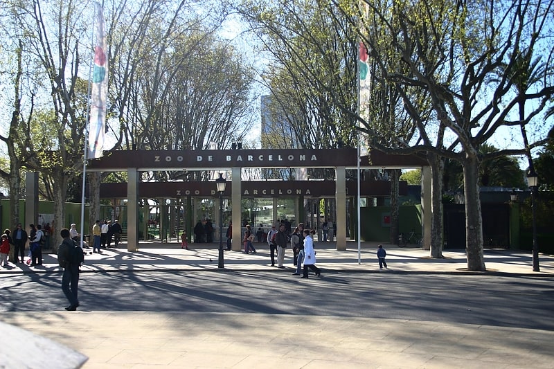 Zoo in Barcelona, Spain