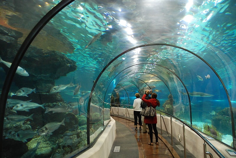 Aquarium in Barcelona, Spanien