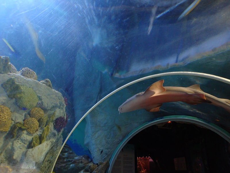Aquarium in Benalmádena, Spain