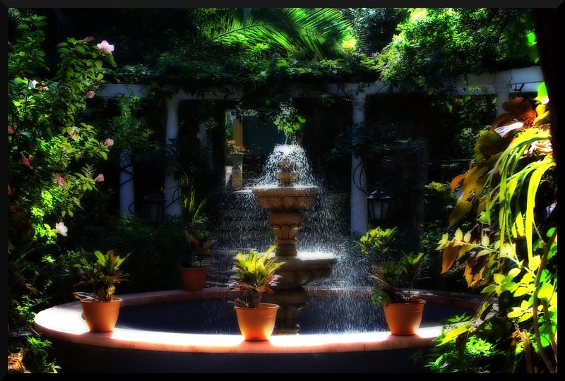 Jardín de Orquideas Sitio Litre