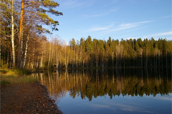 Suolijärvi