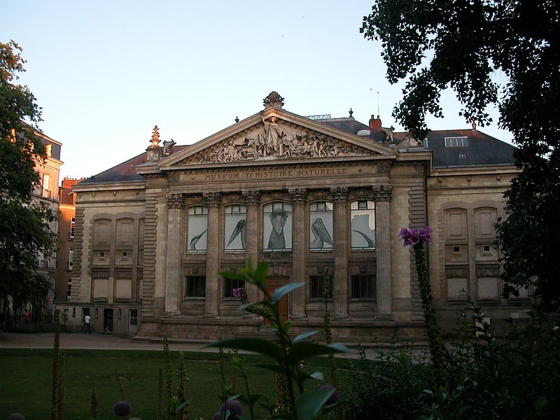 Natural History Museum of Nantes