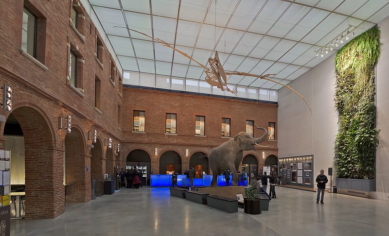 Museum in Toulouse, France