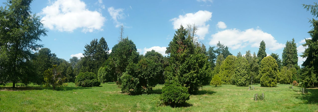 Park pełen rzadkich gatunków drzew i roślin