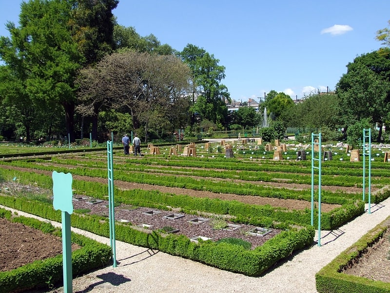 Ogród w Dijon