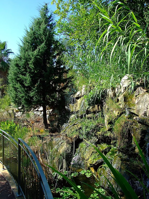 Piętrowy ogród z roślinami śródziemnomorskimi