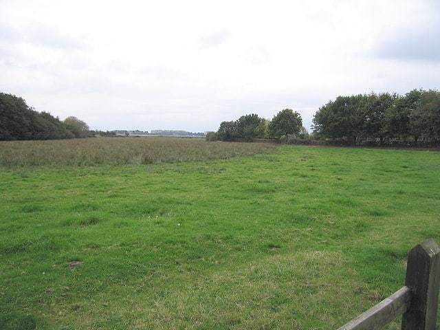 Warblington Meadow