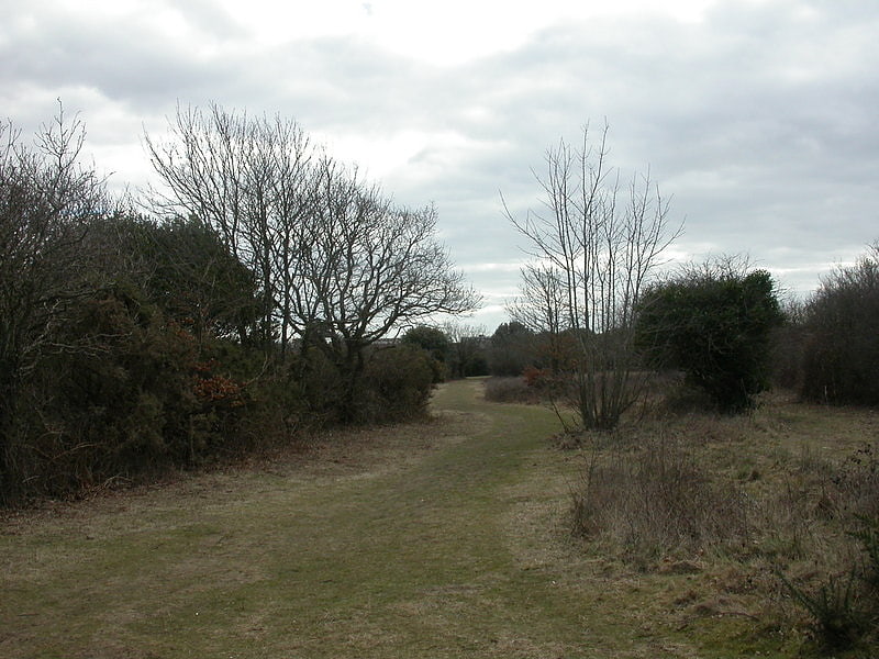 Nature preserve in Milford on Sea, England