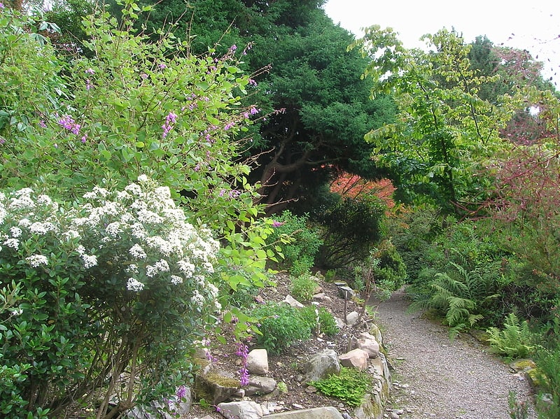 Garden in England