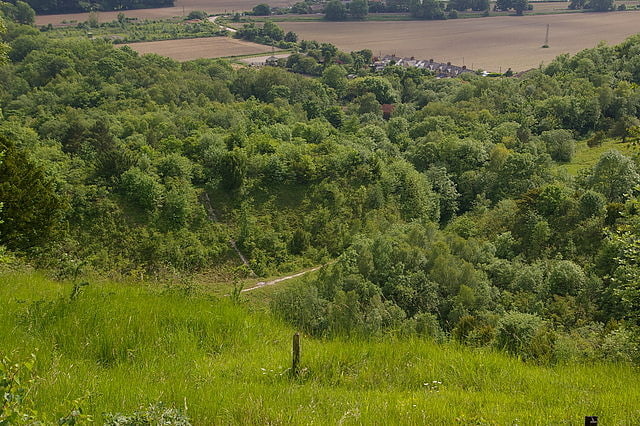 Nature preserve in Betchworth, England