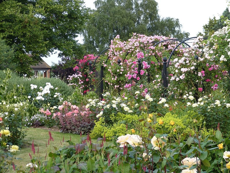 Botanical garden in England