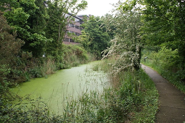 Nature reserve in Ipswich, England