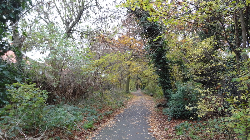 Downham Woodland Walk